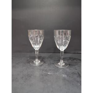 Rose Etched Glass Cordial Set, Vintage Stemmed Glasses, Floral Liqueur, Set of 2